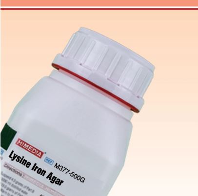 Lysine Iron Agar 500 g HiMEDIA M377