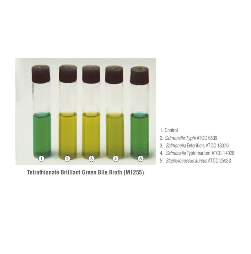 Caldo de bilis verde brillante con tetrationato (Tetrathionate ...