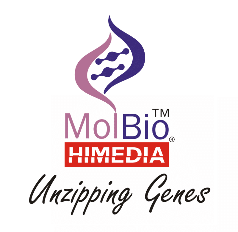 Kit de síntesis de ADNc (HicDNA Synthesis Kit) 100R HiMEDIA MBT076