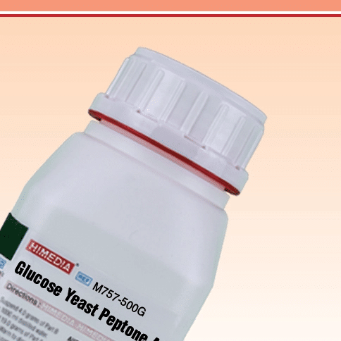 Glucose Yeast Peptone Agar (Agar Peptona, Levadura y Glucosa) 500 g HiMEDIA M757