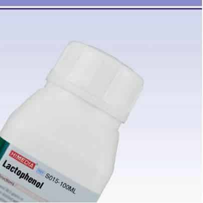 Lactophenol (Lactofenol) 100 mL HiMedia S015